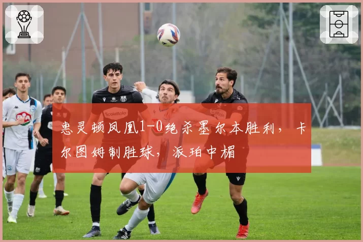 惠灵顿凤凰1-0绝杀墨尔本胜利,卡尔图姆制胜球,派珀中楣