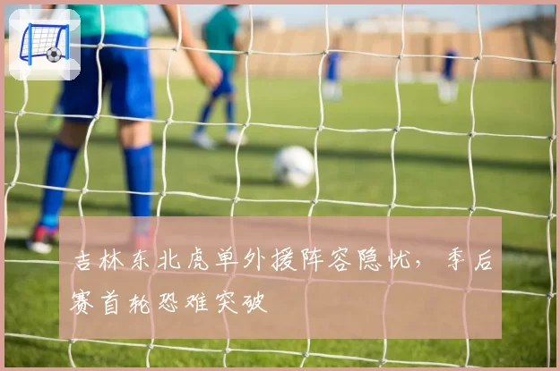吉林东北虎单外援阵容隐忧,季后赛首轮恐难突破