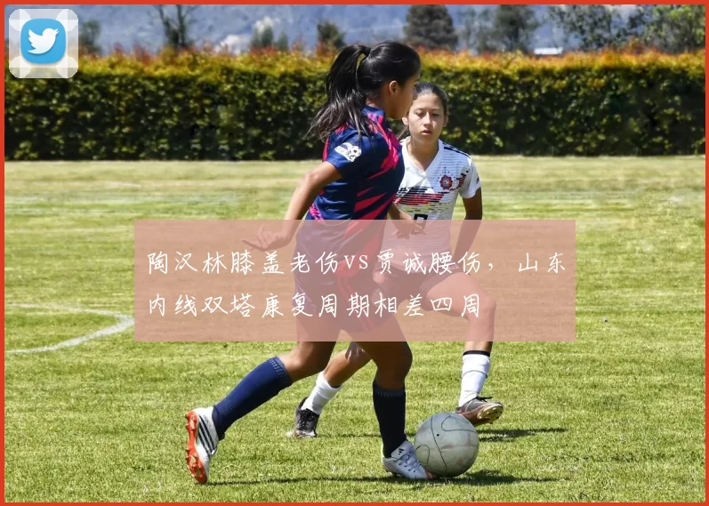 陶汉林膝盖老伤vs贾诚腰伤,山东内线双塔康复周期相差四周