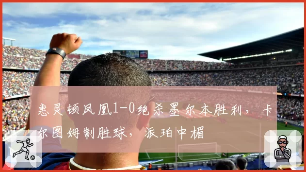 惠灵顿凤凰1-0绝杀墨尔本胜利,卡尔图姆制胜球,派珀中楣