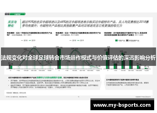 法规变化对全球足球转会市场运作模式与价值评估的深远影响分析