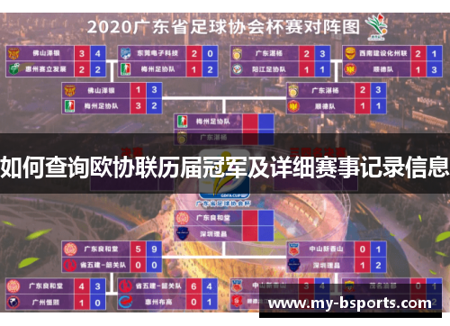 如何查询欧协联历届冠军及详细赛事记录信息