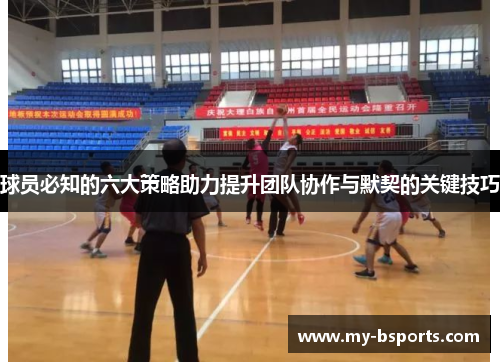 球员必知的六大策略助力提升团队协作与默契的关键技巧
