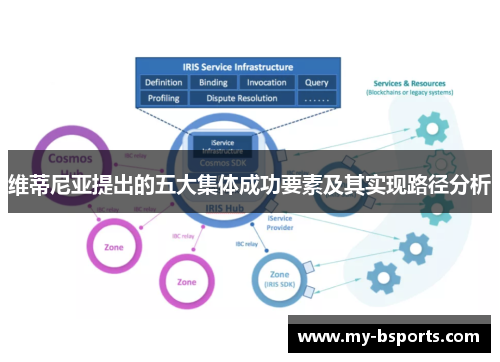 维蒂尼亚提出的五大集体成功要素及其实现路径分析
